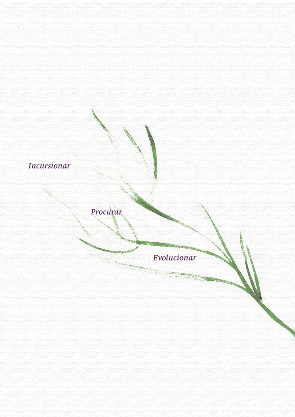 Herbario — Página 4