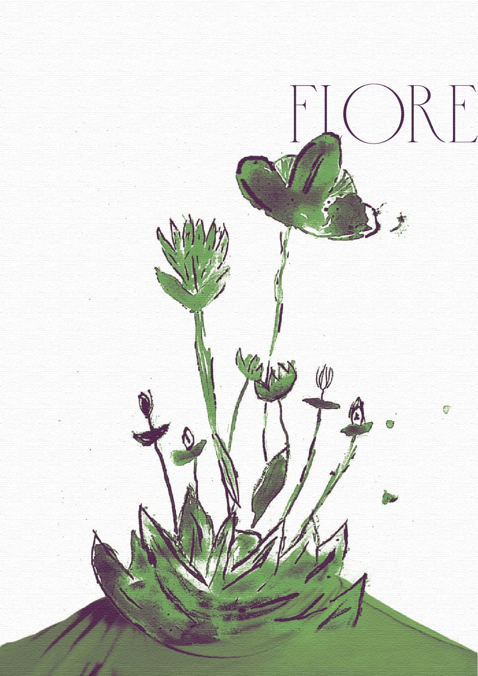 Herbario — Página 6