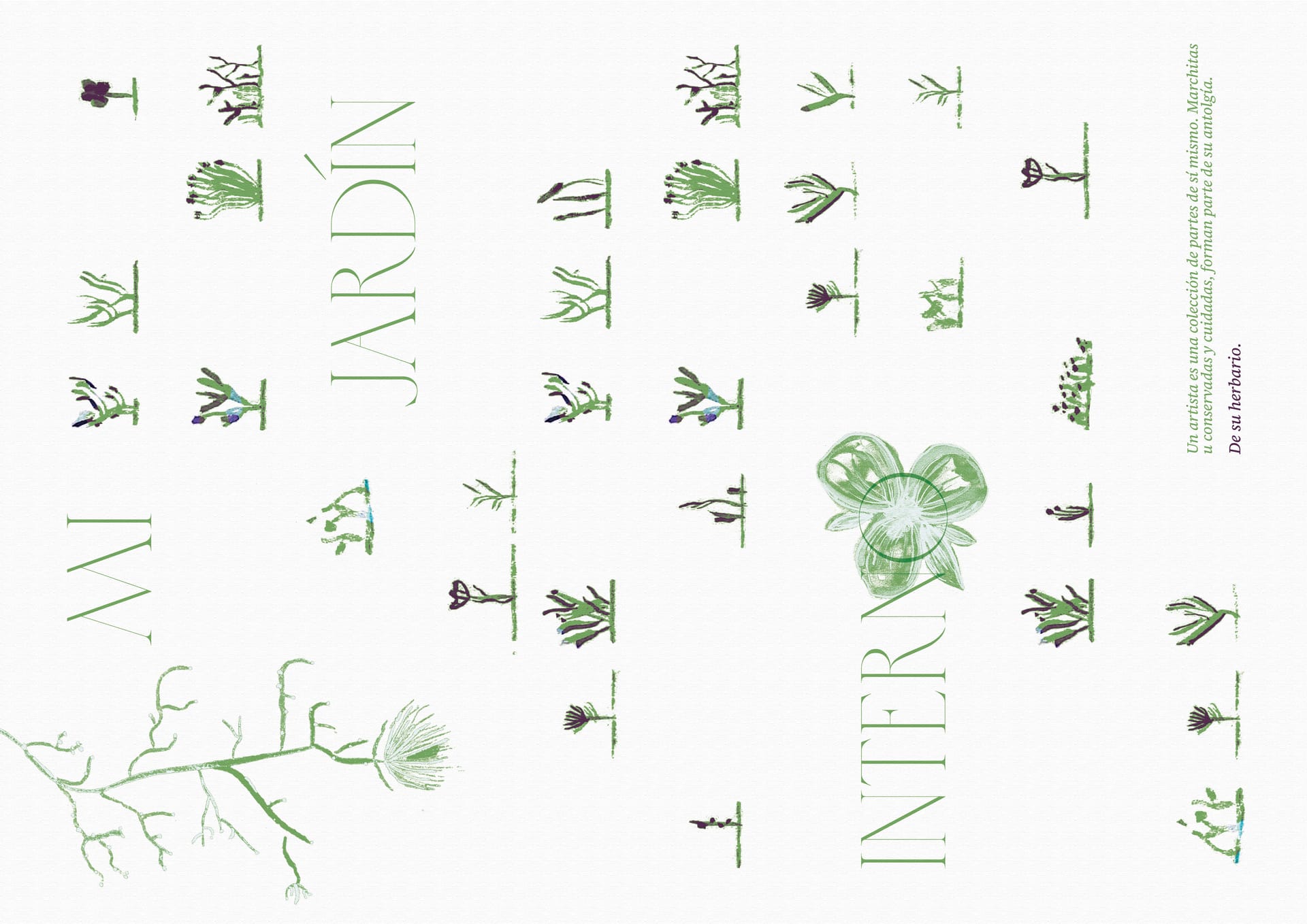 Herbario — Reverso